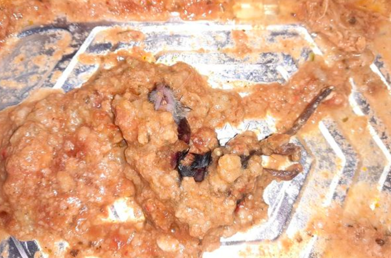 老鼠|英国女子吃烤鸡时以为咬到骨头，仔细一看是一只死老鼠