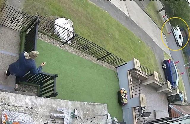 英国_社会|怀疑外甥女被绑架，英国青年来不及穿衣就追出家门，视频被老爸发网上，红了