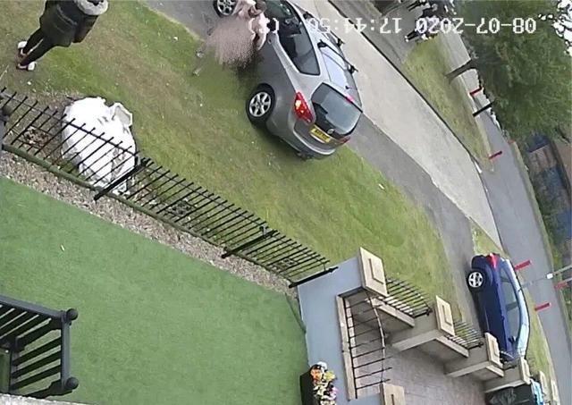 英国_社会|怀疑外甥女被绑架，英国青年来不及穿衣就追出家门，视频被老爸发网上，红了