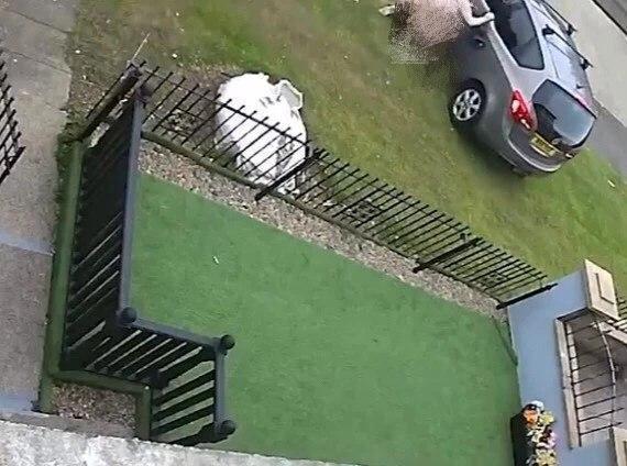 英国_社会|怀疑外甥女被绑架，英国青年来不及穿衣就追出家门，视频被老爸发网上，红了