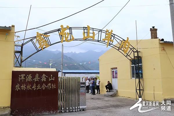 2020脱贫攻坚看大同一一网络媒体大同行走进浑源县荆庄村