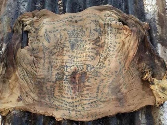 阿赞|皮肤|泰国_社会|龙婆