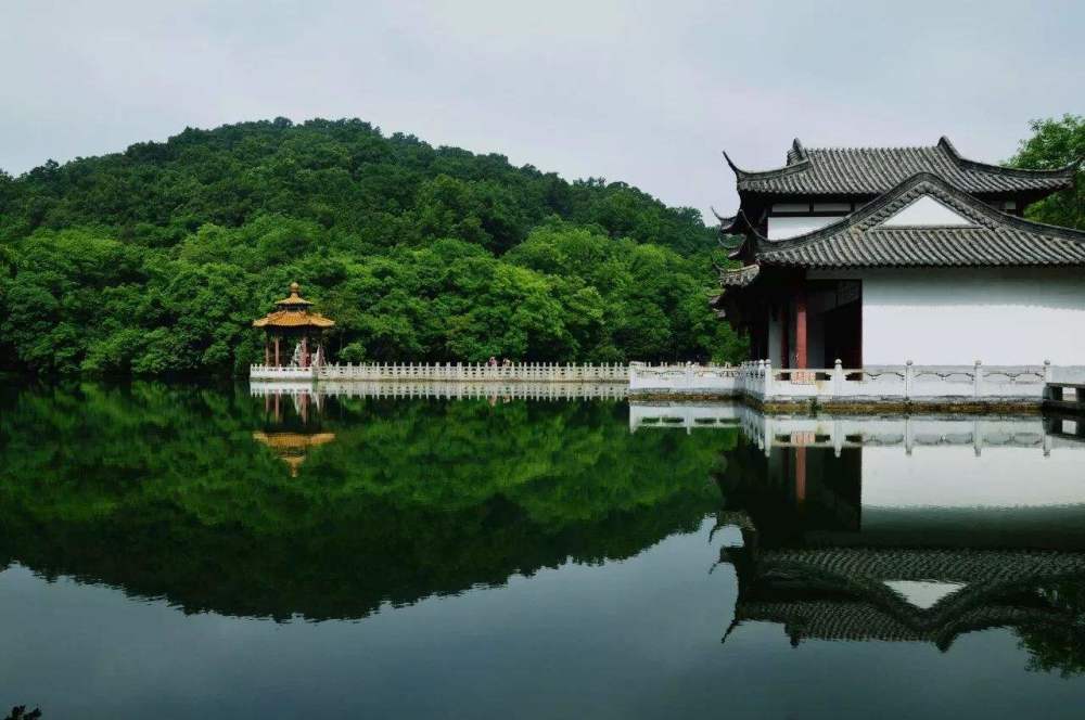 上半年合肥gdp_2021年合肥GDP增速亮眼位居万亿俱乐部榜眼