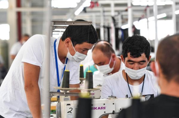 这个|国家决心发展这个产业，有人心里犯嘀咕了……