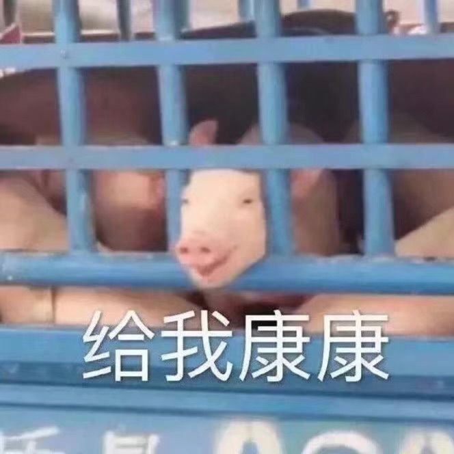 乌龟和蜗牛的爱恨情仇 腾讯新闻