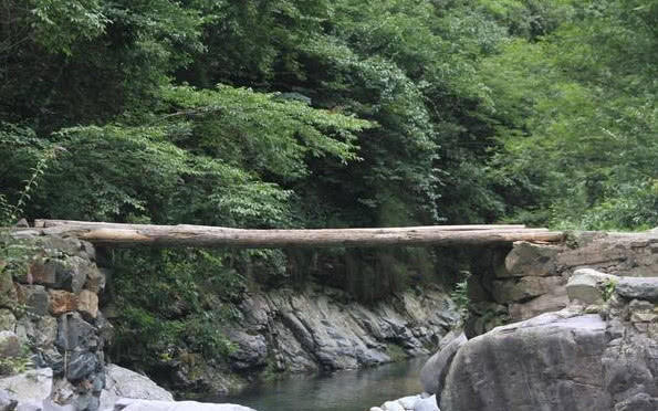 灵签占卜:哪个独木桥最危险?测谁会在你身后默默守护你,准哭了!