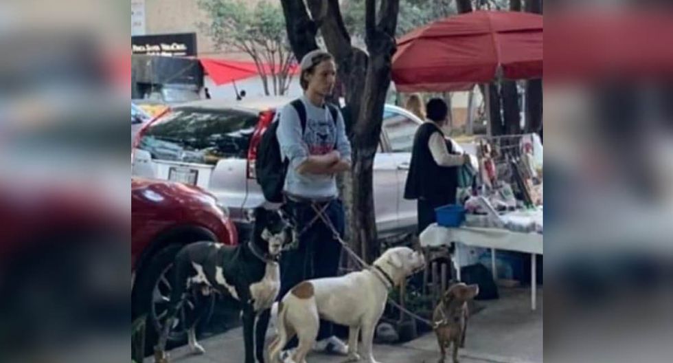 墨西哥_社会|墨西哥一男子为救爱犬，跳入滚烫的温泉，最后不幸身亡