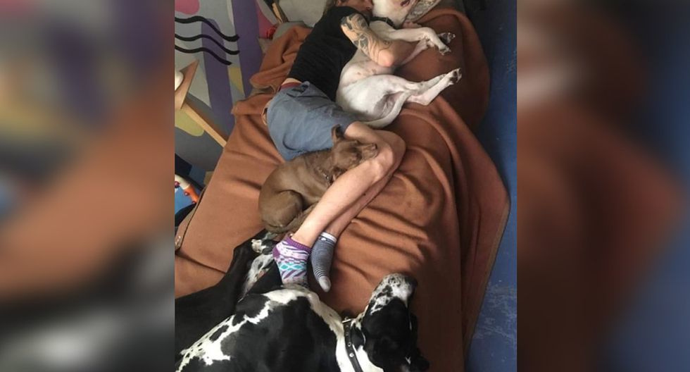 墨西哥_社会|墨西哥一男子为救爱犬，跳入滚烫的温泉，最后不幸身亡