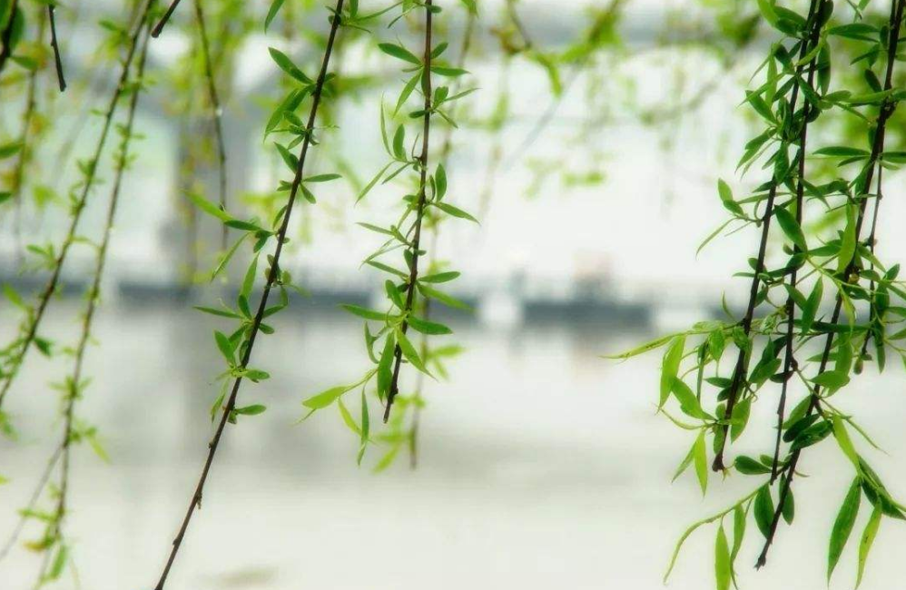 王之涣|知名教授质疑王之涣“黄河远上白云间”：玉关门没黄河，诗句有误