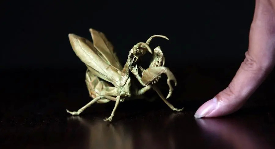 折纸|【箭厂】夜里打碟，白天折纸，东北小伙的双面人生