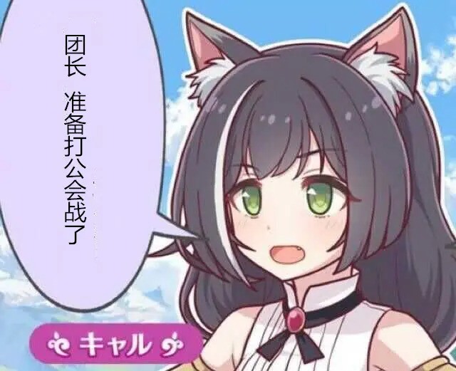 公主连结玩家疑似搭建私服练习公会战运营你们也太拼了吧