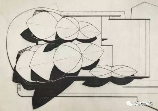 悉尼歌剧院|悉尼歌剧院的黑暗史：设计师被官方开除，发誓再也不回悉尼