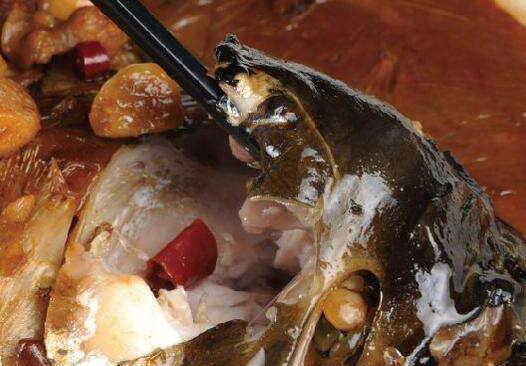 月牙肉一直被认为是鱼身上最好吃鲜嫩的部位,月牙肉在鱼的什么地方呢