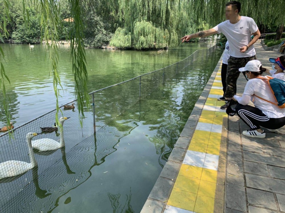 北京动物园|“上阵”父子兵！北京动物园层层防护没挡住这帮 “投手”