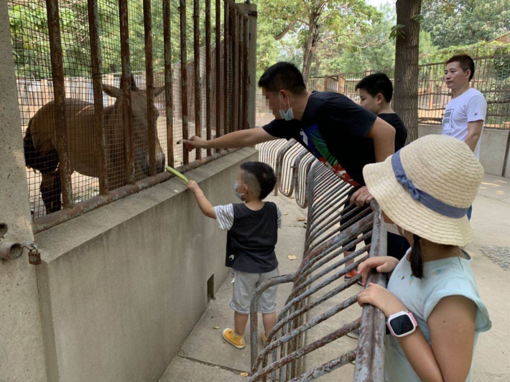 北京动物园|“上阵”父子兵！北京动物园层层防护没挡住这帮 “投手”