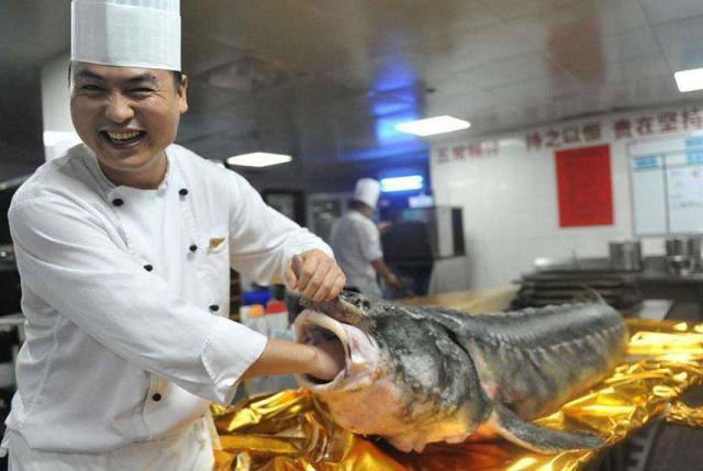 淡水鱼|这鱼进化了1亿年，是中国最大淡水鱼，没有天敌，却败给中国吃货