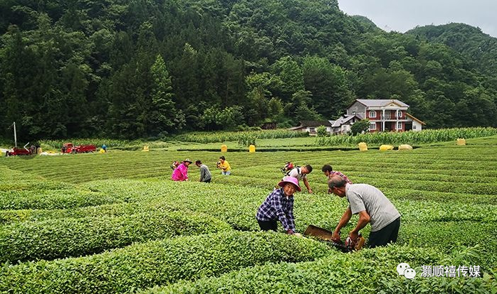 关于州城暂停供水的预告 腾讯新闻