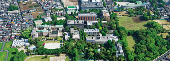 留学日本 为什么选择武藏野大学 腾讯新闻