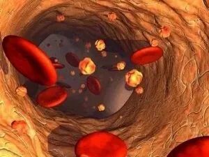 南昌高考升学率排名_2020年江西高考状元总分705分,来自南昌高中