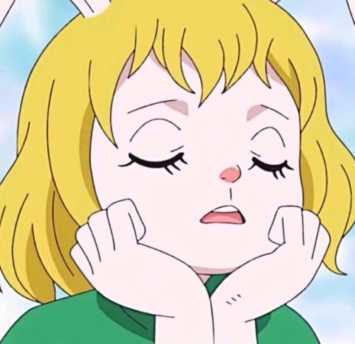 加洛特最终不会上船 , 因为她在船上将没有清晰的职能定位 ,加上月狮