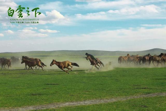 白云之下|不得不提的东京电影节入围佳作《白云之下》，美出新高度