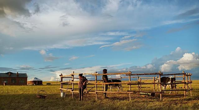 白云之下|不得不提的东京电影节入围佳作《白云之下》，美出新高度