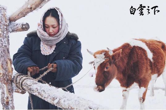 白云之下|不得不提的东京电影节入围佳作《白云之下》，美出新高度