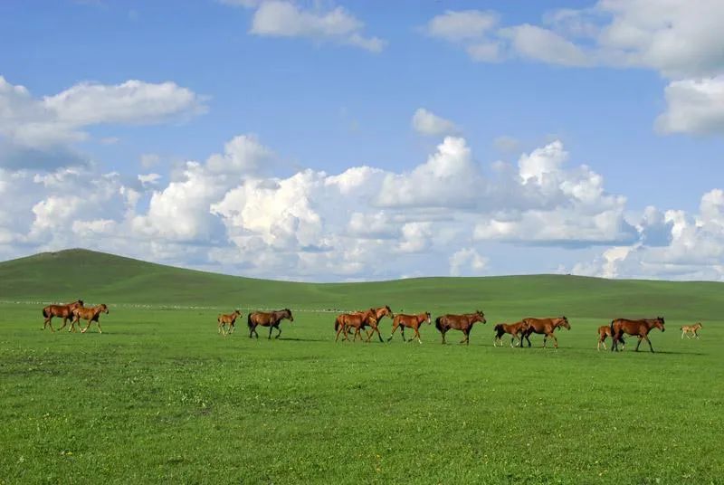 格律|诗词韵律是如何在当代式微的∣学通专栏