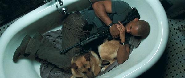 夜魔|电影《我是传奇》对人类的警醒，不要自取灭亡，有很深的寓意