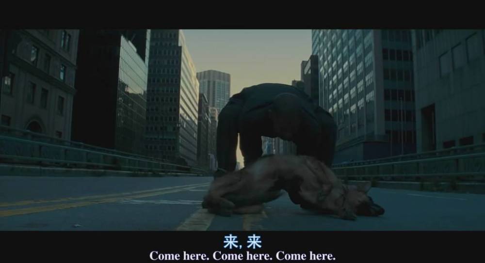 夜魔|电影《我是传奇》对人类的警醒，不要自取灭亡，有很深的寓意