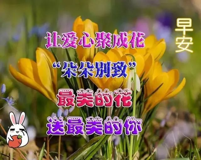 6月13日最新早上好動態祝福表情圖片,溫馨的早上好句子問候祝福語