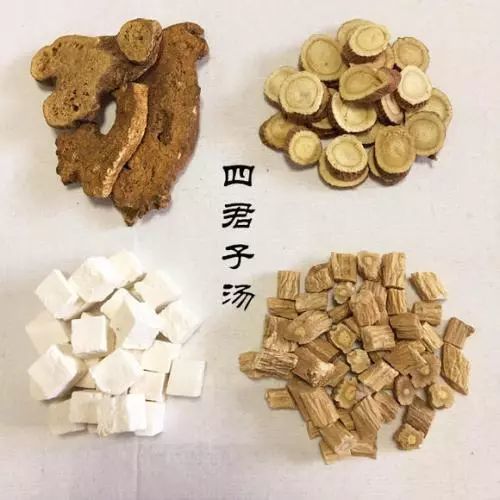 白术苦温,燥脾补气为臣.
