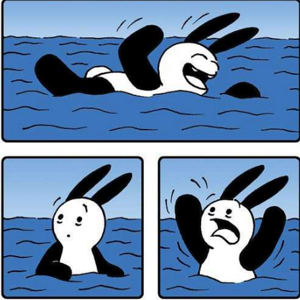 奇趣漫画:兔子在海里欢快地玩耍,沙滩上鲨鱼却在翘兔子的车