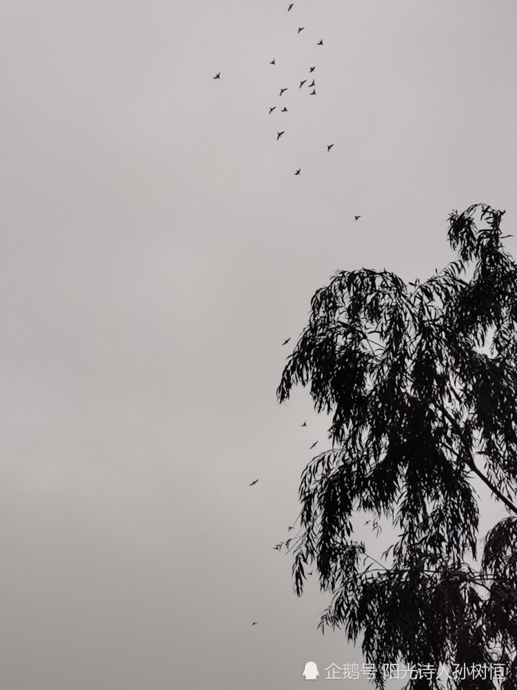 影子|笑，从心里发了出来