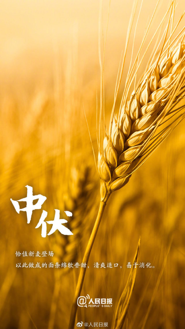 今日进入最热中伏