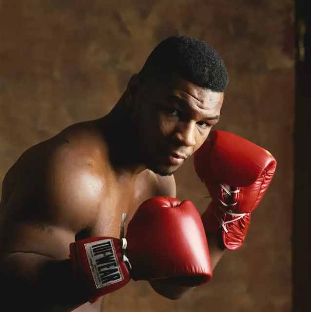 银背大猩猩|54岁拳王泰森复出首战在即，曾出价7万要求与动物园大猩猩搏斗