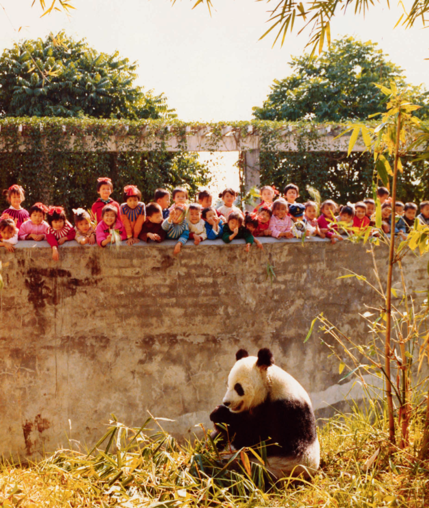 弗朗索瓦·洛雄|从老外手里搞到的照片