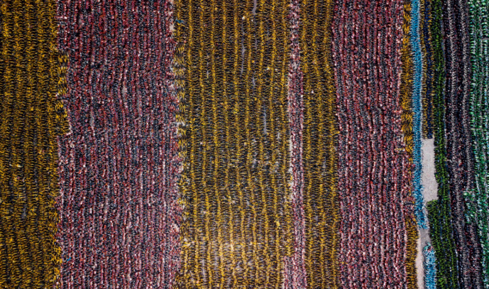 弗朗索瓦·洛雄|从老外手里搞到的照片