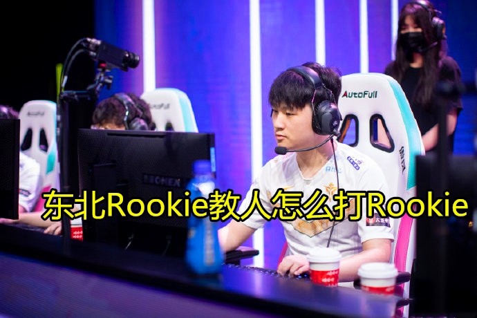 怎么暴打Rookie？小东北给Knight支了一招暴打Rookie的技巧