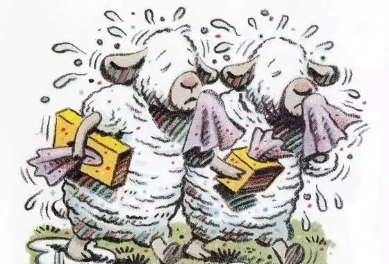 【英语轻松学】《the sheep mess》一团糟的绵羊