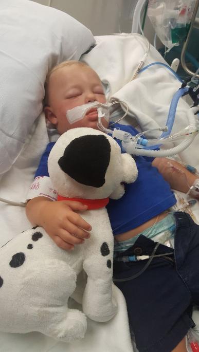 孩子|美护士妈妈呼吁疫情期的婴儿保护，自家孩子曾从狗门钻出溺死水中