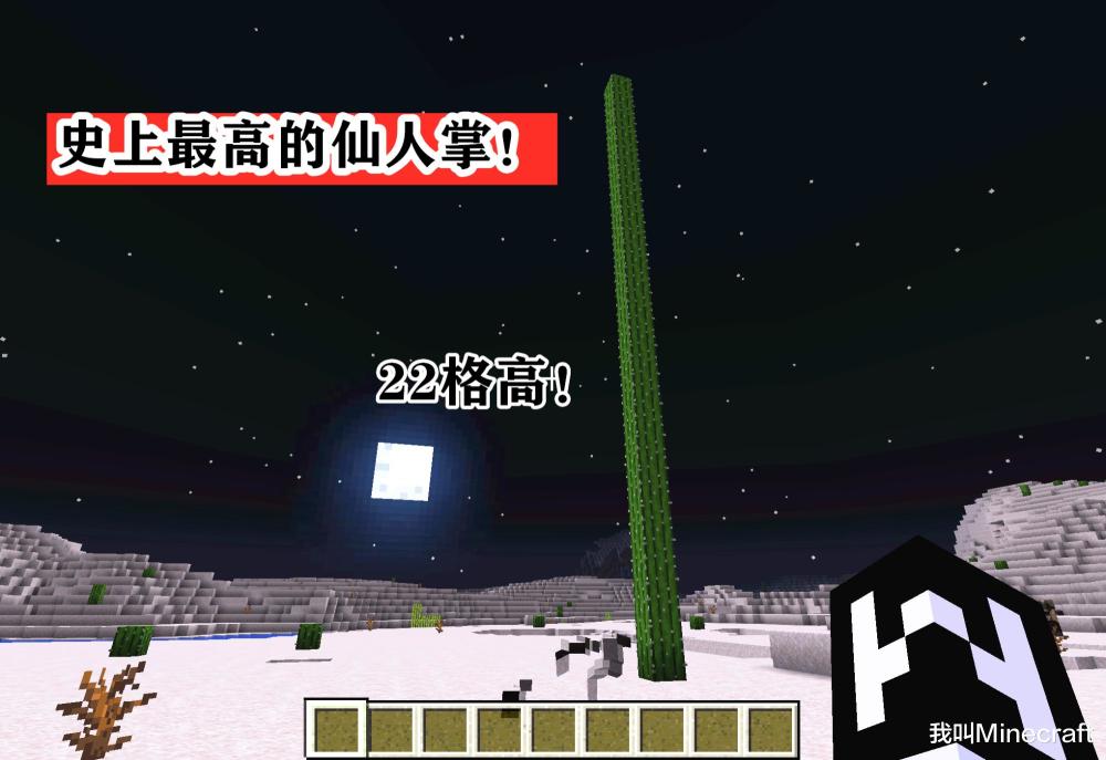 22格高仙人掌你见过么 我的世界 堪称 史上最 的5个种子 腾讯新闻