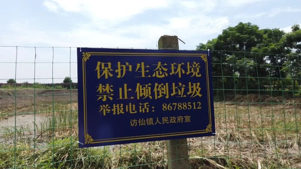 跑马场成垃圾场20多辆车连清9天鱼塘才现清澈