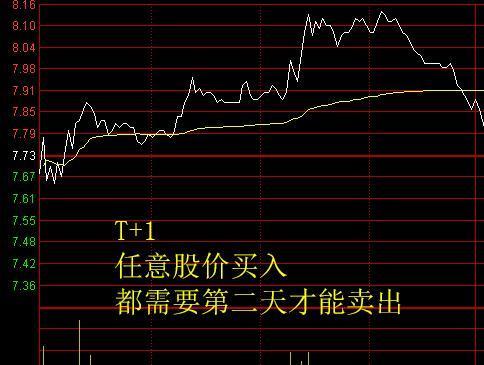 什么是单次t 0 看看日本股市具体如何实行单次t 0 T 0 日本股市 T 1