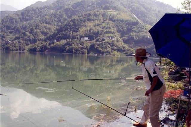 夏天的草鱼不咬钩？老司机透露这钟钓法