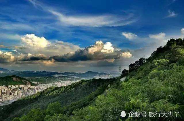 深圳“森林公园”避暑胜地，而且还免门票