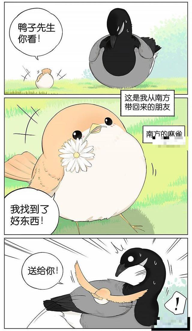 萌系治愈漫画 小麻雀跟着黑雁来到了北方 还交到了朋友