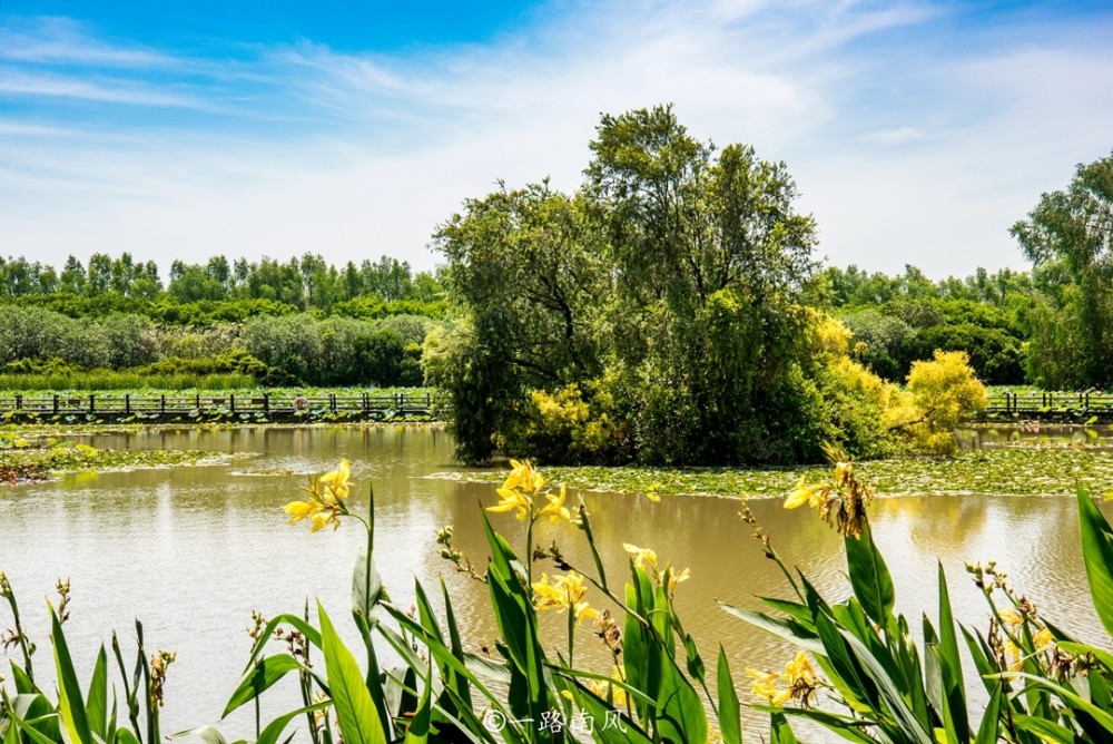 广州湿地公园，美得像绿野仙境