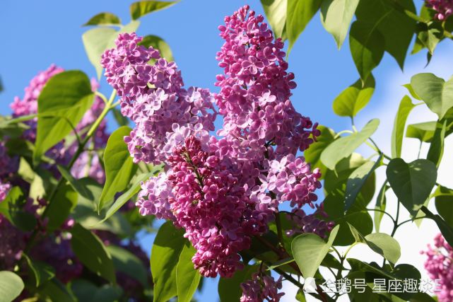 7月28日星座运势 金牛以和为贵 巨蟹刮目相看 天蝎不留遗憾