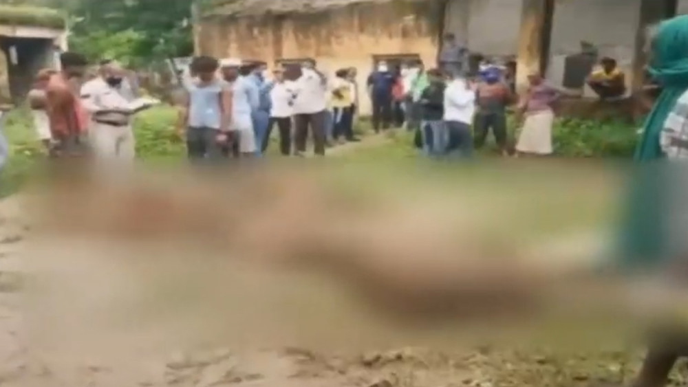 恰蒂斯加尔邦|45头牛被关在一个小房间内窒息死亡 印度政府对事件展开调查